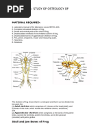 BZYCL 134 Exp 1 Skeleton of Frog