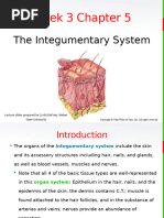 HAP101 Integument - Tagged