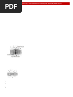 Cell Physiology