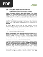 1.1. Origen Histórico Del Léxico Castellano