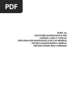 TEMA 36 Anatomia Radiologica Craneo Cara y Cuello