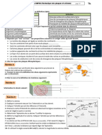 Serie dexercices1-2APIC