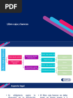 Libro Caja y Bancos