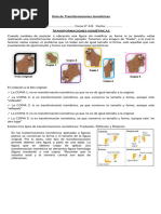 Guía de Transformaciones Isométricas