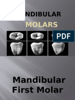 Mandibular