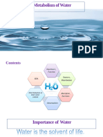 Water Metabolism