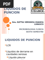 Liquidoss de Puncion