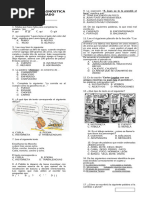 Examen Diagnostico 4°