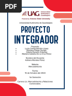 Proyecto Integrado 2 Entrega Final 2