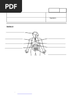 Science Grade 6 1st Term Exam