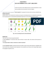 L-4 Principles of Inheritance & Variation