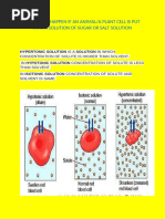 Cell Membrane