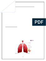 Breathing and Exchange of Gases