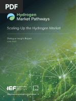 Ief Hydrogen Market Pathways Report - Scaling Up The Hydrogen Market