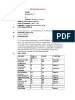 Informe de Cummani