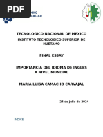 Final Essay - Importancia Del Idioma Ingles