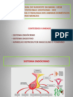 Anatomia II Unidade