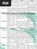 Principales Órganos Rectores Dentro Del Mercado de Valores