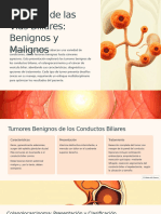 Tumores de Las Vias Biliares Benignos y Malignos