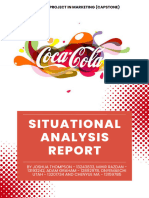 Situational Analysis Report