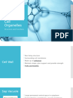 Cell Organelles