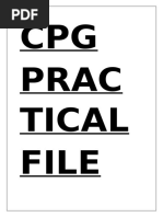 CPG Practical File