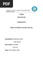 Report On Cyber Security and Pakistan