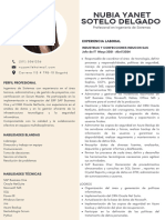 Curriculum Vitae NubiaYanetSotelo