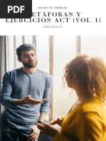 Metáforas y Ejercicios ACT