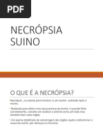 Necrospiasuinos1