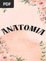 Anatomia