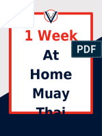 1 Week at Home Muay Thai Guide - Virtus