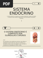 Sistema Endocrino