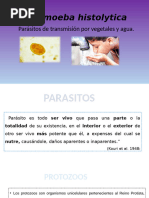 03 Parásitos Transmitidos Por Vegetales y Agua - Entamoeba Histolytica.