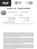 2024-2025 Completo Plan Analitico Lic. Miguel Aleman