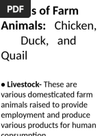 Breeds of Farm Animals