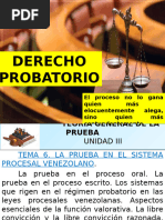 DERECHO PROBATORIO II-2023. SEMESTRAL. CONFESION, POSICIONES JURADAS y DOCUMENTAL