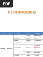 GEOHELMINTOS