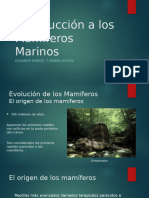 Evolución Mamiferos y Cetaceos