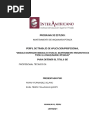 Anexo N01 Esquema Del Perfil Del Trabajo de Aplicacion Profesional