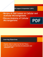 2anatomy of Microorganisms