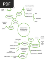 Mapa Mental Sobre Las Consecuencias de Practicar Deportes Extremos