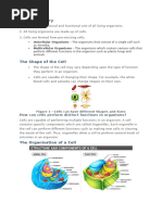 The Cell Theory: Unicellular Organisms Multicellular Organisms