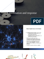 Ch. 14 Coordination and Response