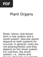 Plant Organs-WPS Office