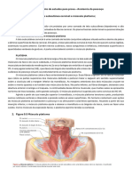 Direcionamento - PESCOÇO