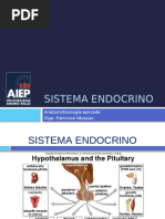 Endocrino 19