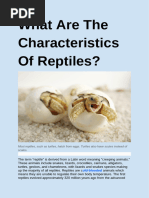 WWGC Reptiles Notes