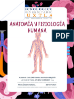 Anatomia Humana