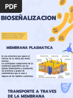 BIOSEÑALIZACION